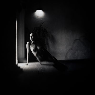 Morning light / Nude  Fotografie von Fotograf IgorKostin ★11 | STRKNG