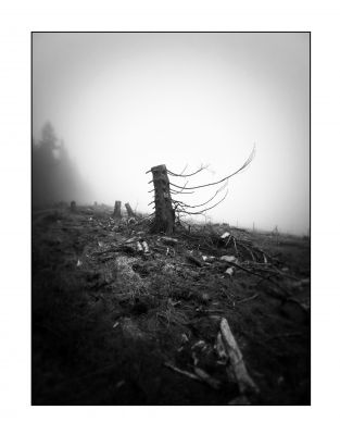 ...ein letztes Winken / Landscapes  Fotografie von Fotograf Frank Gürtler ★2 | STRKNG