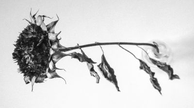 Black and White  photography by Photographer Joseph Beer | STRKNG