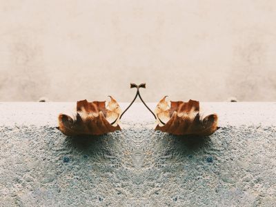 Floating leaf / Fine Art  photography by Photographer Col_shots | STRKNG