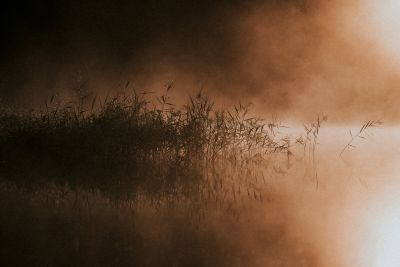 Golden Hour / Landscapes  Fotografie von Fotografin by the sea ★5 | STRKNG