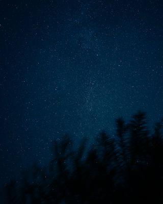 poetic nights / Natur  Fotografie von Fotograf Danny Tangermann ★1 | STRKNG