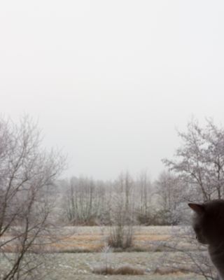 winter dreams / Natur  Fotografie von Fotograf Danny Tangermann ★1 | STRKNG