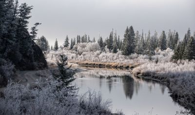 Frosty Morning / Landscapes  photography by Photographer d.hoffgaard-photography ★1 | STRKNG