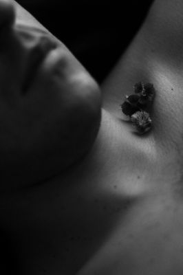 Secret World VI / Stimmungen  Fotografie von Fotografin Synthia Franco | STRKNG