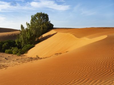 Fullness / Landscapes  Fotografie von Fotograf bertrand bigo | STRKNG