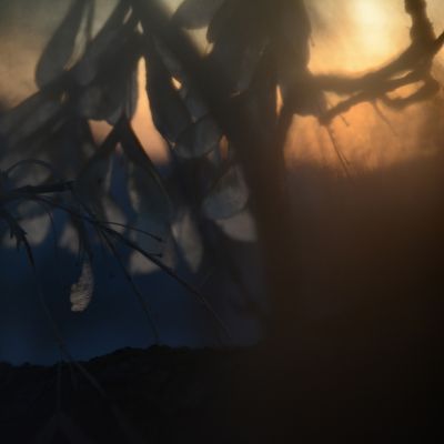 Janus I / Fine Art  Fotografie von Fotograf Alexander Hofstetter | STRKNG