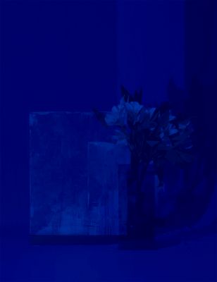 Still Blue / Still-Leben  Fotografie von Fotograf Alexander Hofstetter | STRKNG