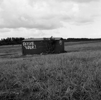 Friske Køer! / Landscapes  Fotografie von Fotograf Arvid Warnecke ★1 | STRKNG