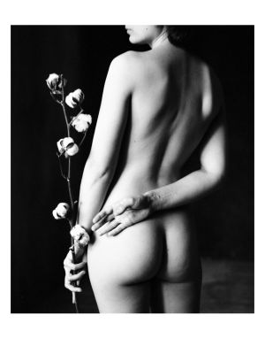 Cotton 1 / Fine Art  Fotografie von Fotograf Andy Go ★7 | STRKNG