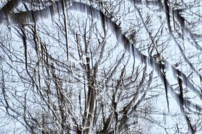 Last Winterdays III / Abstrakt  Fotografie von Fotograf Rolf Florschuetz ★2 | STRKNG