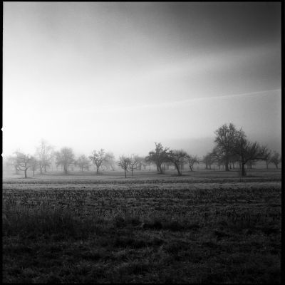 Lightflood / Landscapes  Fotografie von Fotograf Jakob L. ★2 | STRKNG