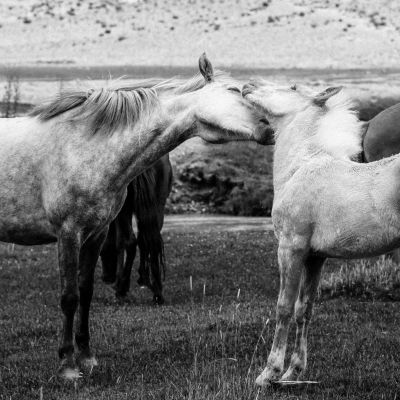 BELOVED / Mood  photography by Photographer AMIT | STRKNG