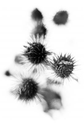 Nicht daran festhalten! / Black and White  photography by Photographer bubadibub ★6 | STRKNG