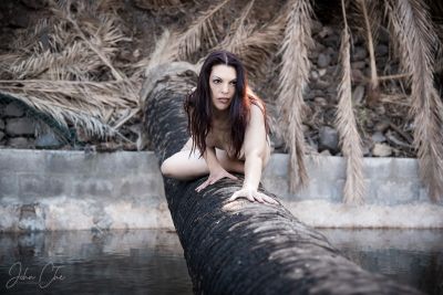 Palm over water / Fine Art  photography by Photographer John Che | STRKNG