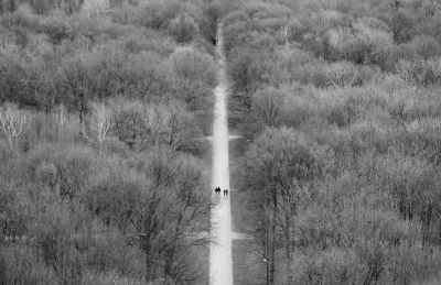 Wald / Schwarz-weiss  Fotografie von Fotograf Gabriel Pace | STRKNG