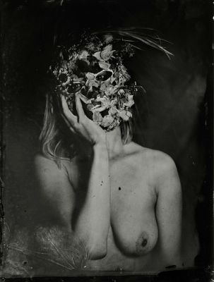 Daphne / Nude  Fotografie von Fotografin Laura Aubrée ★2 | STRKNG