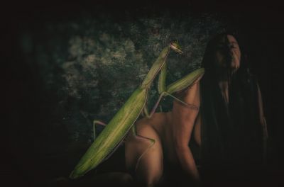 LaMantis / Creative edit  photography by Photographer Sabine Kristmann-Gros ★3 | STRKNG