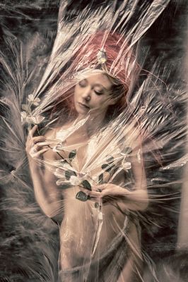 Blowing in the wind / Creative edit  photography by Photographer Martial Rossignol ★7 | STRKNG