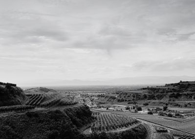 Kaiserstuhl with view to Oberbergen and the Vosges / Landscapes  photography by Photographer AndreasH. | STRKNG