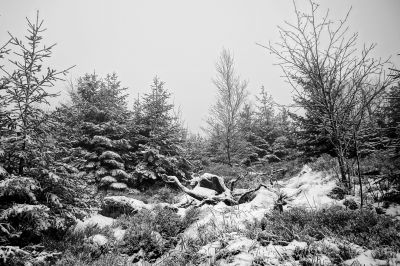 winter day IV / Landscapes  Fotografie von Fotograf AndreasH. | STRKNG