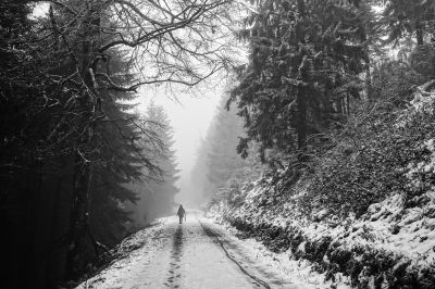 wanderer / Landscapes  photography by Photographer AndreasH. | STRKNG