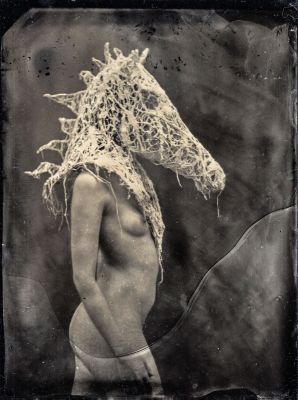 Kelpie / Fine Art  Fotografie von Fotografin Belanglosigkeit ★4 | STRKNG