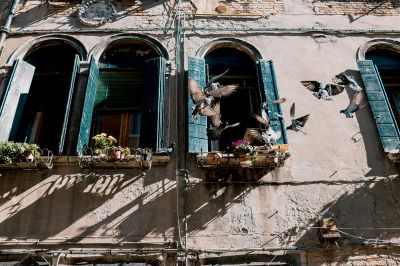 grandma / Street  Fotografie von Fotograf Marcus Richter | STRKNG