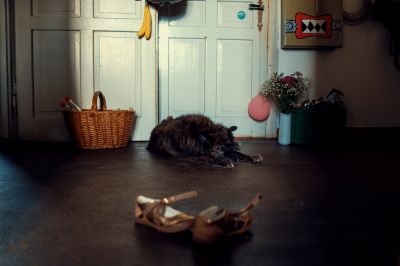 tired / Konzeptionell  Fotografie von Fotograf Marcus Richter | STRKNG