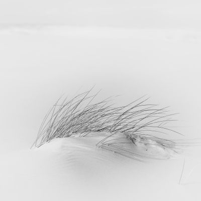 Dune / Schwarz-weiss  Fotografie von Fotograf surman christophe ★1 | STRKNG