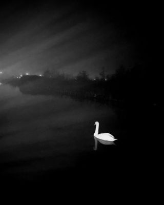 Night  photography by Photographer Natasja.Co | STRKNG