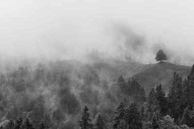 FogScape / Landscapes  Fotografie von Fotograf Matthias Lüscher ★2 | STRKNG