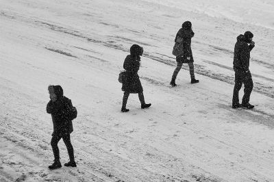 Crossing a Road in a Snowstorm / Street  Fotografie von Fotograf Matthias Lüscher ★2 | STRKNG