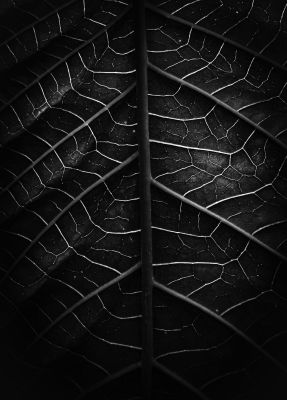 Love detail ! / Schwarz-weiss  Fotografie von Fotograf Amirkrb | STRKNG