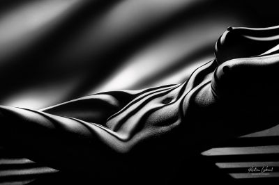 fine zebra nude art (Aktfotografie Licht und Schatten, schwarzweiß) / Nude  Fotografie von Fotograf Kristian Liebrand - Profi-Aktfotograf ★3 | STRKNG
