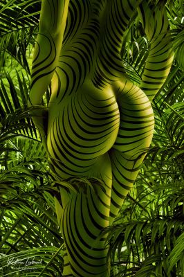 Jungle fever - (fine nude art) / Nude  Fotografie von Fotograf Kristian Liebrand - Profi-Aktfotograf ★3 | STRKNG