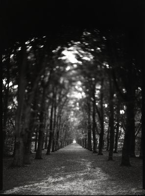 Friesland / Landscapes  Fotografie von Fotograf Jürgen Hegner ★1 | STRKNG