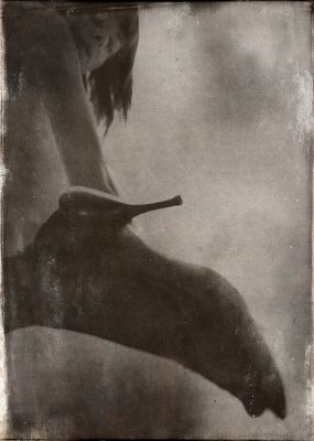 Exercise No. 486 / Photomanipulation  photography by Photographer Kirill Rotulo | STRKNG