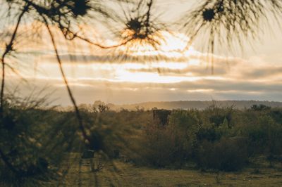 atardecer / Landscapes  Fotografie von Fotograf Emiliano ★1 | STRKNG