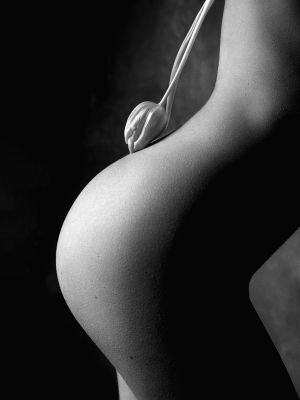 Tulipes / Nude  photography by Photographer Latelier ★7 | STRKNG