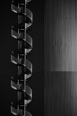 Wendeltreppe / Architektur  Fotografie von Fotograf Steffen Ebert ★3 | STRKNG