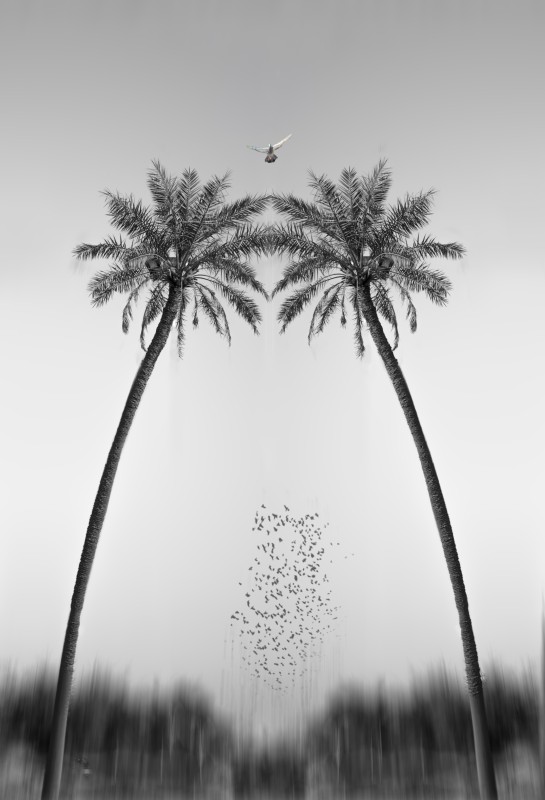standing palms do not die - &copy; mona zoghibi | Fine Art