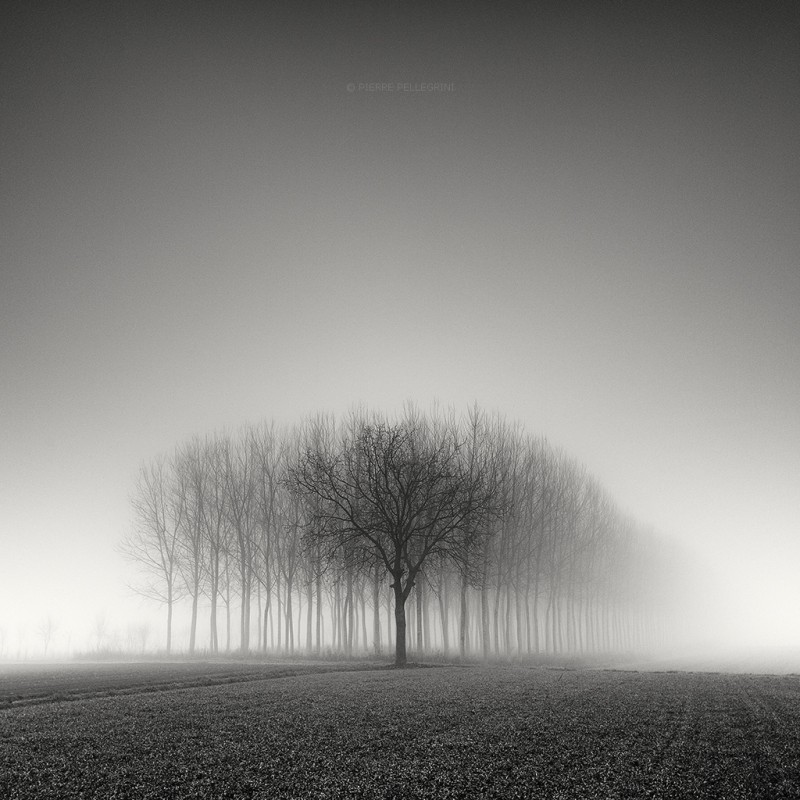 Only Among Many - &copy; Pierre Pellegrini | Fine Art