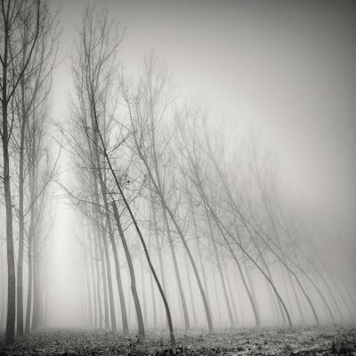 TENDERLY TOGHETHER / Fine Art  photography by Photographer Pierre Pellegrini ★4 | STRKNG