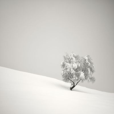 Slipping On The Snow / Fine Art  Fotografie von Fotograf Pierre Pellegrini ★4 | STRKNG