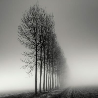 Aligned / Fine Art  Fotografie von Fotograf Pierre Pellegrini ★4 | STRKNG