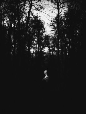 A Forest / Schwarz-weiss  Fotografie von Fotograf Cristian Trippel ★16 | STRKNG