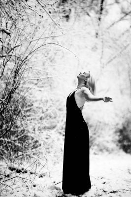 Morning snow / Black and White  photography by Photographer Rene Olejnik ★2 | STRKNG