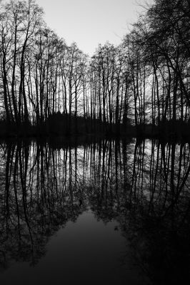 Mirror / Landscapes  photography by Photographer GeKa | STRKNG