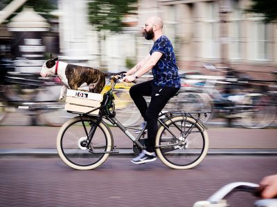 Leading the way / Street  Fotografie von Fotograf polarapfel ★1 | STRKNG